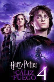 Harry Potter 4 y El Cáliz de Fuego (Harry Potter and the Goblet of Fire)