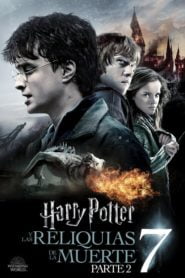 Harry Potter 8 y Las Reliquias de la Muerte – Parte 2 (Harry Potter and the Deathly Hallows: Part 2)