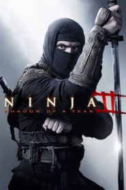Ninja 2: La Venganza del Guerrero (Shadow of a Tear)