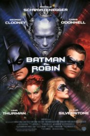 Batman 4 (A): Batman y Robin