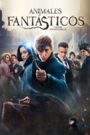 Animales Fantásticos 1: Y Donde Encontrarlos (Fantastic Beasts and Where to Find Them)