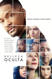 Belleza Oculta (Collateral Beauty)