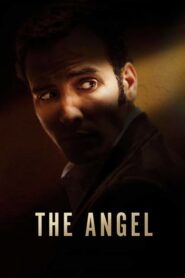 El Ángel (The Angel)