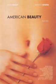 Belleza Americana (American Beauty)