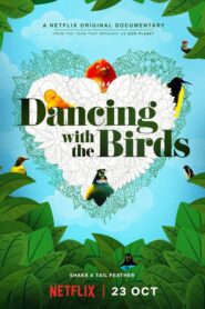 Bailando con los Pájaros (Dancing with the Birds)