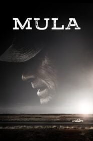 La Mula (The Mule)
