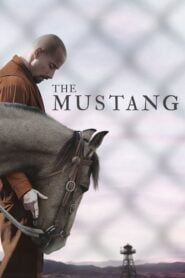 The Mustang: La Rehabilitación