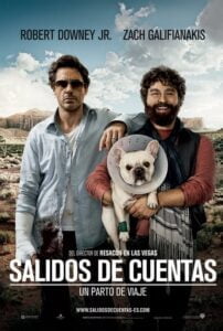 Todo un Parto (Due Date)