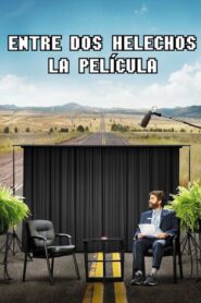 Entre Dos Helechos: La Película (Between Two Ferns: The Movie)