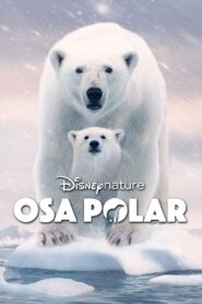 Osa Polar (Polar Bear)