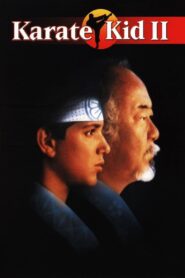 Karate Kid 2: La Historia Continúa (The Karate Kid Part II)