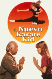 Karate Kid 4: La Nueva Aventura (The Next Karate Kid)