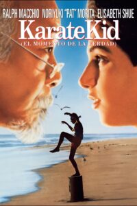Karate Kid 1 (The Karate Kid)