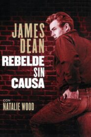Rebelde sin Causa (Rebel Without a Cause)