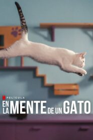 En la Mente de un Gato (Inside the Mind of a Cat)
