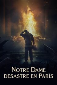 Notre-Dame: Desastre en París (Notre-Dame on Fire)