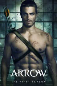 Arrow: Temporada 1