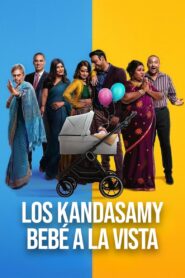 Los Kandasamy: Bebé a la Vista (Kandasamys: The Baby)